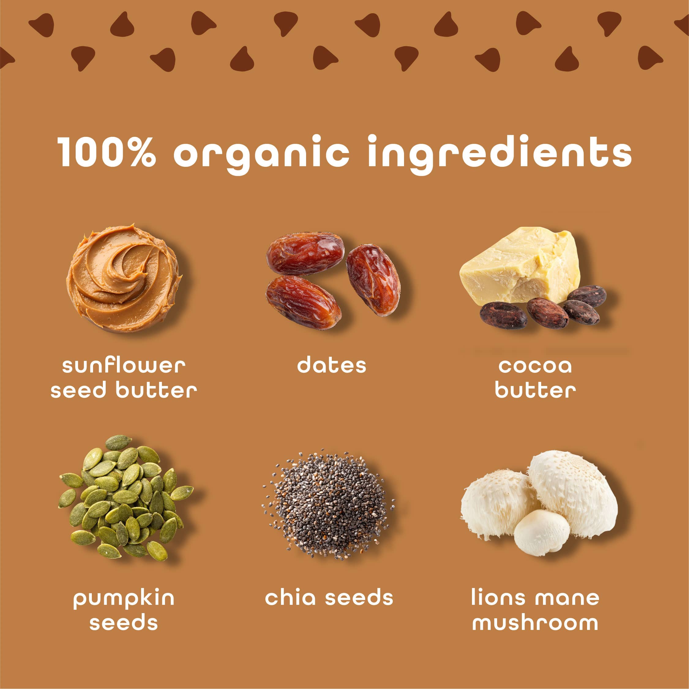 Feel Bars – Vegan Protein Bars | Brownie Chocolate Chip – 10 Pack | 15g Plant Protein | Lions Mane | Keto | Organic | Gluten Free, No Nuts, No Soy, No Dairy, No Grains