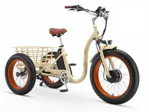 Simple Step Thru FAT Tire 3 Wheel Electric Bike