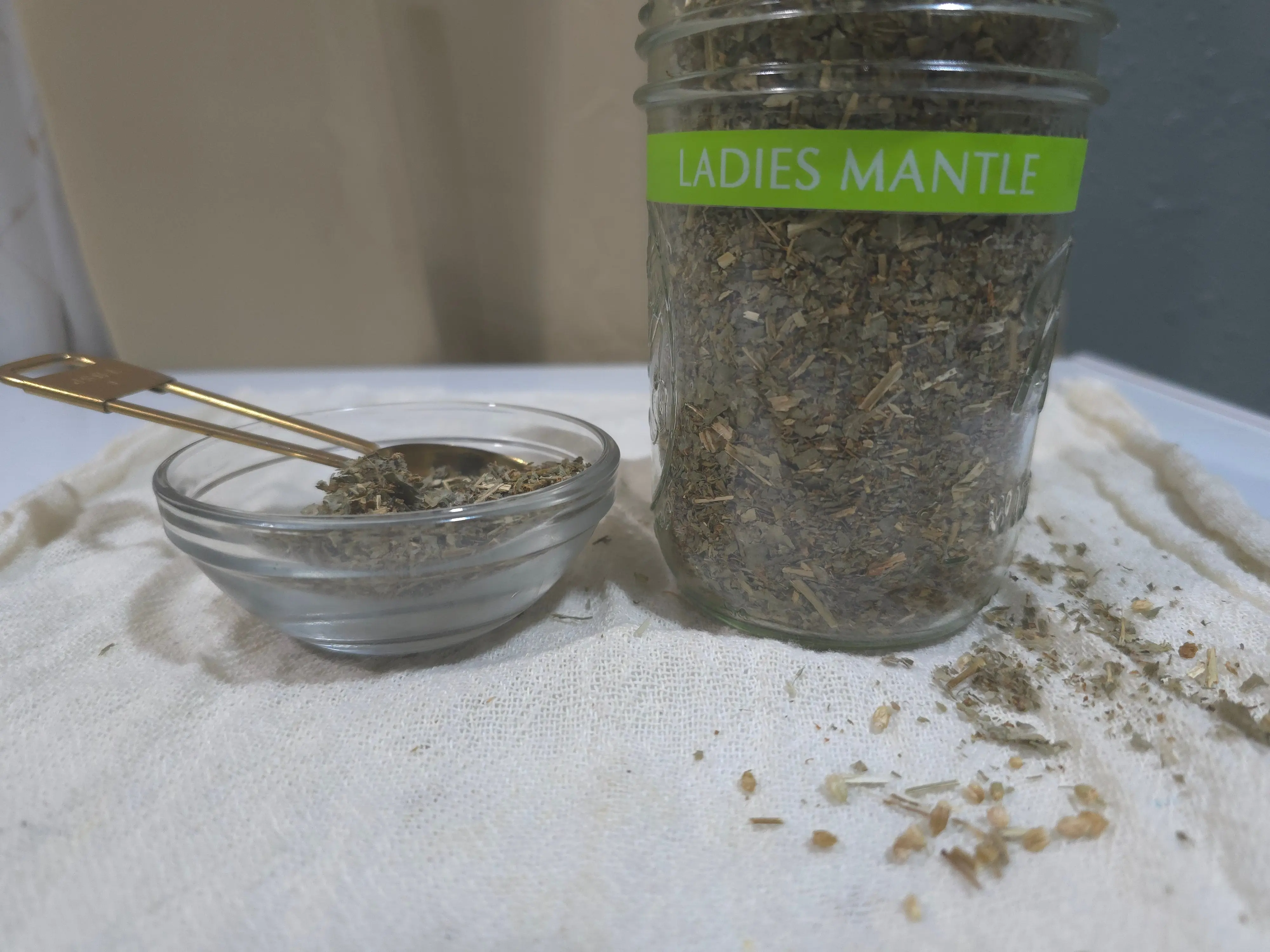 Ladies Mantle