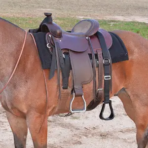 Cashel Step Up Stirrup Extender - Adjustable Portable Horse Mounting Aid with Stainless Steel Hardware & Storage Bag