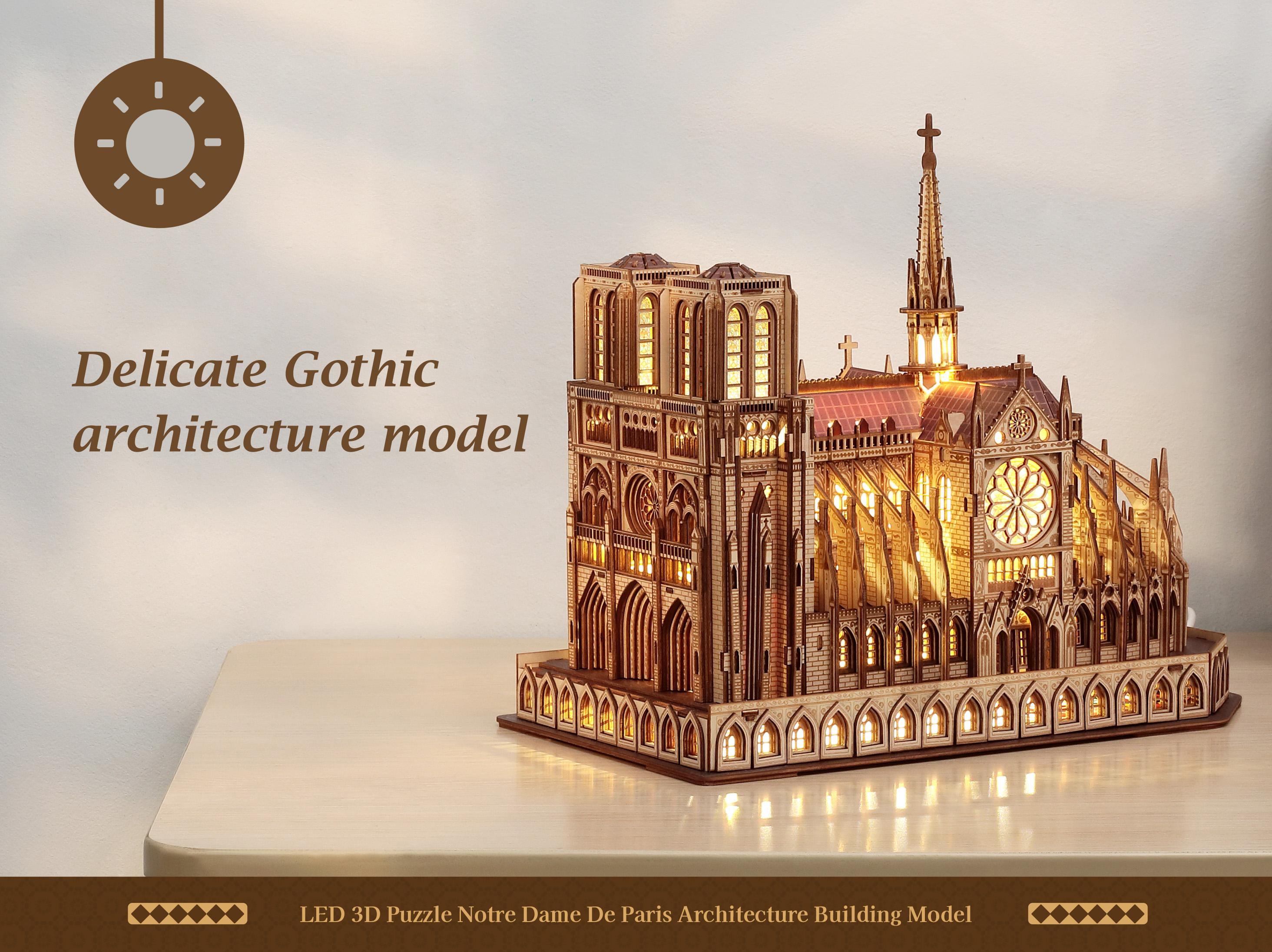 Notre Dame puzzle delicate details