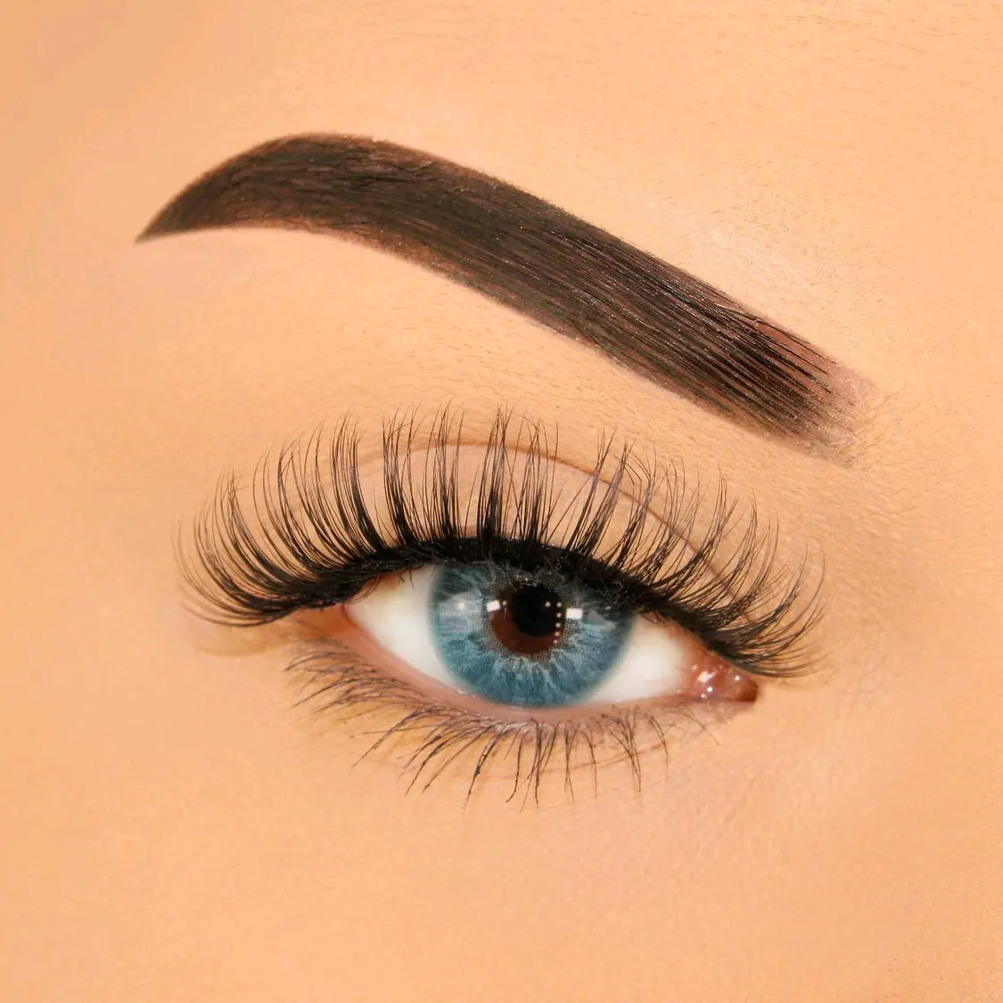 Bella Lashes Bella Lashes