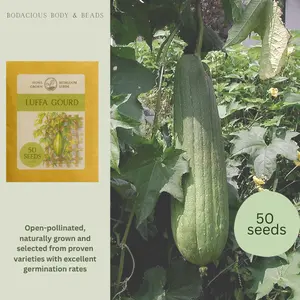 Luffa Seeds, Loofah Gourd