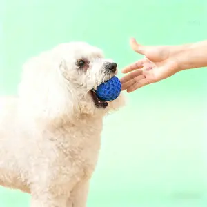 2-Pack Dual-Color Honeycomb Squeaky Balls | Durable Chew Soft Rubber, Non-Toxic & Safe | Fun Squeak & Toss-Fetch Interactive Play | Boredom Buster for Dogs & Cats | Easy to Clean & Long-Lasting | Interactive Training Ball