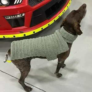 The Dapper Turtleneck sweater for the most sophisticated furry family members. Crocheted with love for your pet at Da Farm.  Custom styles and colors available. Designs for all pets.