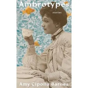 USED-Ambrotypes by Barnes, Amy Cipolla (Paperback)