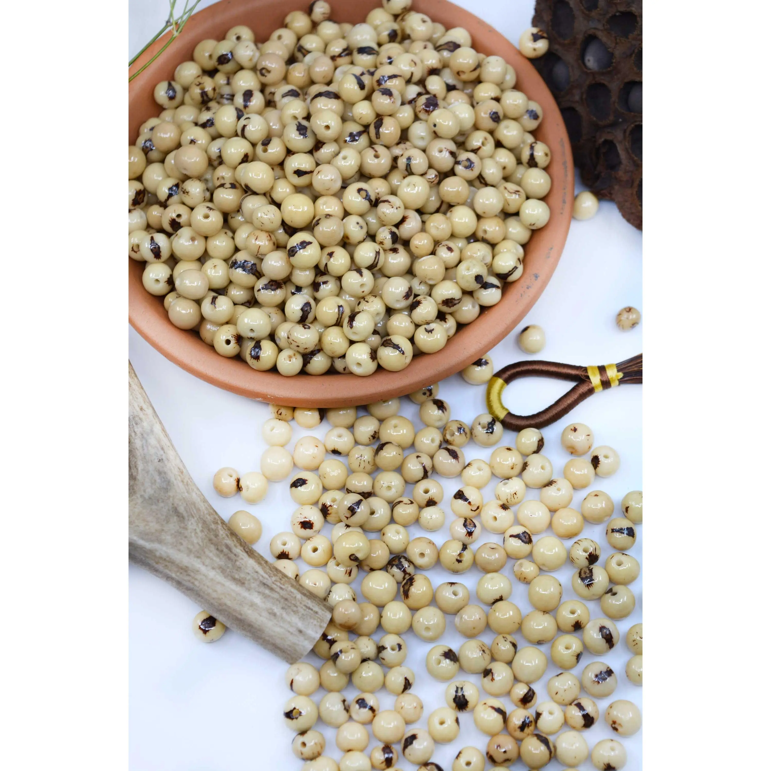 Natural Cream: Real Acai Beads from South America, 8-10mm / Pick your Qt
