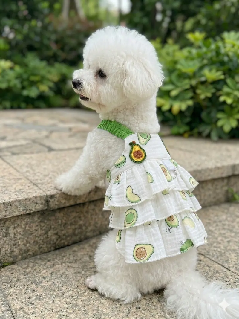dog clothes Dress - TikTok Shop