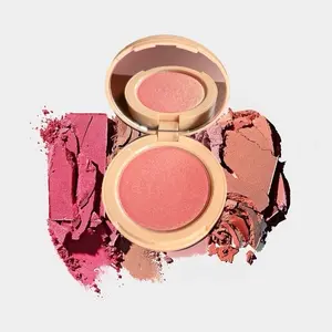 Sandagy Glow Powder Blush - Matte Bronzer for Makeup Brush Cosmetic - Limited Edition Compact - 10 Matte Shades - US