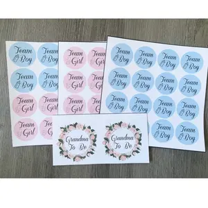 Baby Shower - Gender Reveal Stickers, Team Boy & Girl Design, Assorted Colors, Perfect for Celebrating Birth with Confetti
