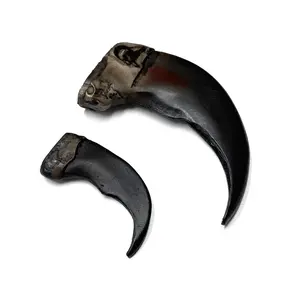 Bear Claw - 2" - 3.5" DIY Jewelry Decoration Animal Pendant