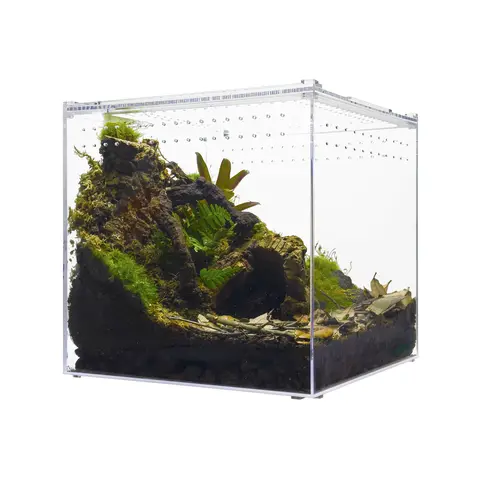 HerpCult Acrylic Enclosure - XLarge 12*12*12"