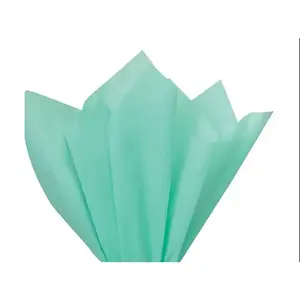 Cool Mint Green Premium Colored Tissue Paper Gifts & Crafts 15" x 20", 24pk