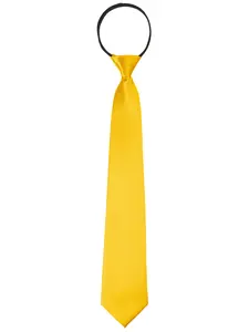 INSPIRE CHIC Pretied Zipper Ties for Men Solid Color Satin Shine Neckties