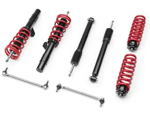 Raceland Classic Coilovers for BMW F30 3-Series (2012+) LIFETIME WARRANTY