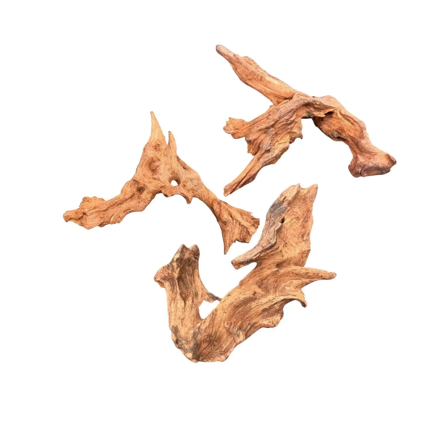 Mopani Wood for Aquariums, Terrariums & Bioactive Enclosures