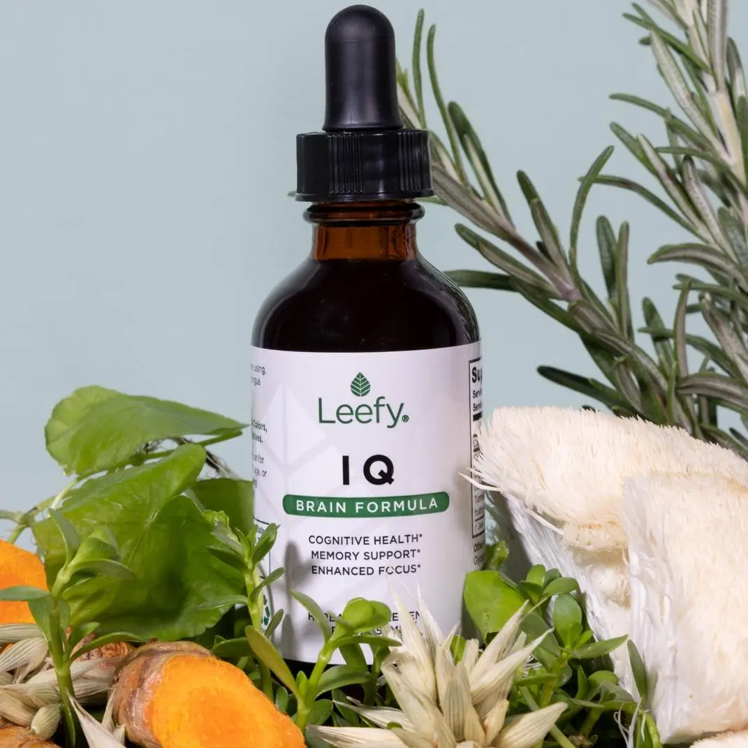 Leefy Organics IQ Brain Formula – Enhance Mental Clarity, Focus & Memory Support with Lion's Mane, Bacopa, Gotu Kola, Oat Tops, Rosemary & Turmeric – Stress-Resilient Cognitive Support for Peak Performance Theanine Supplement Healthcare Herbal Wellness Bl