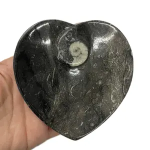 Orthoceras heart Fossil Goinitite Dish / Bowl - Unique Black Marble Design, Ideal for Tableware