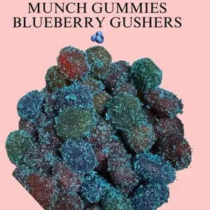 Munch Gummies ~ Blueberry Gush Snack