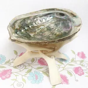 Abalone Shell & Stand