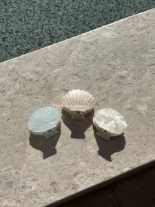 Ocean Clam Claw Clip 3 in 1 Ochre Noire Summer Bundle Elegant Design Shell Inspired Clips