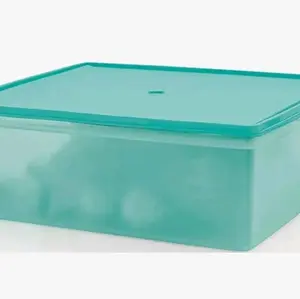 Tupperware Large Storage Tote