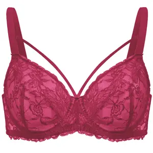 Live Only HSIA Crimson Passion Holiday Colors Floral Lace Underwire Full Coverage Bra