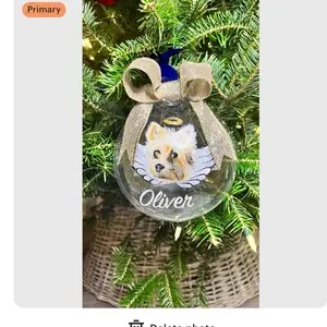 Photo realistic hand painted pet portrait on glass or shatterproof ornaments