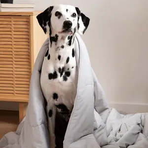 The Ice Blanket For Dogs
