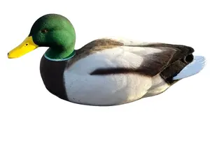 Drake Mallard Full Body Decoy Flocking Kit - Includes 1/4 Pound Green & Brown Flocking, 6 Ounces Gray Flocking, Applicator & Brush for Easy Application