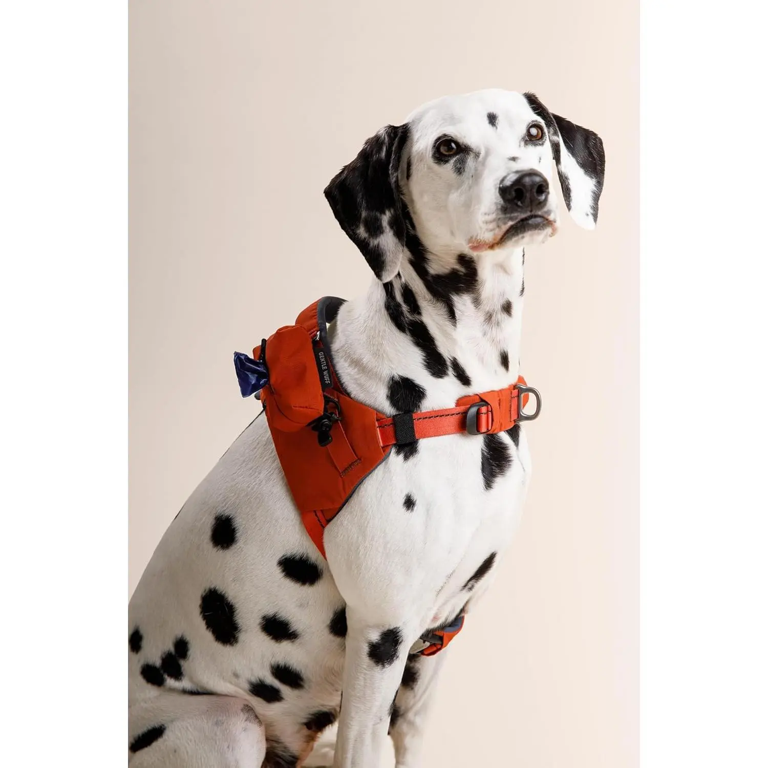 Ready-Go Harness for Dogs – Everyday Comfort & Adventure Harness with Magnetic Quick-Release Buckle, Reflective Details, Poo Pouch & Snack Sack Attachment (Canyon, Medium)