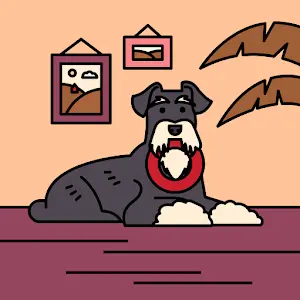 Bolux Pet Life Store