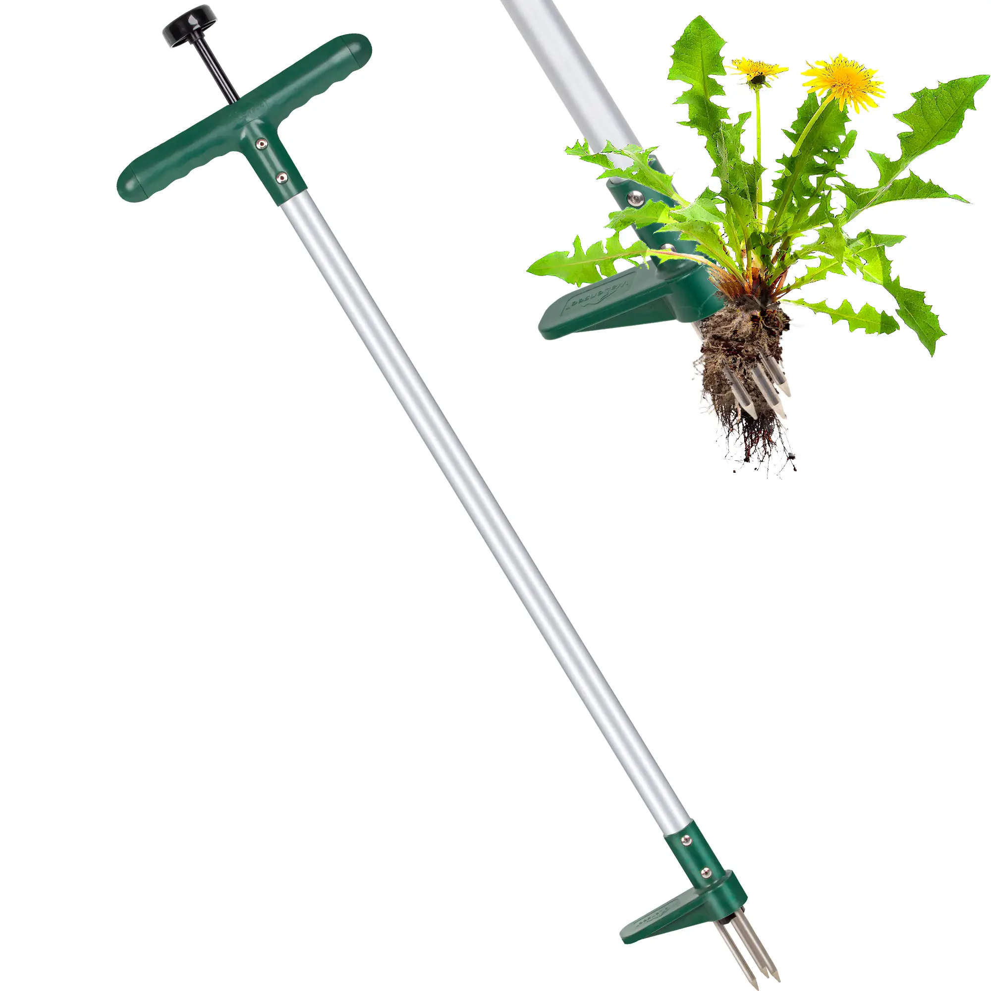 Classic Weeder Tool - Long Handle Weeder Puller with 3-Claw Head | Standing Root Extractor for Dandelions & Tough Grass| Garden Clearance Special (1 P