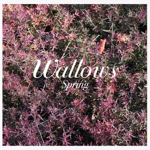 Wallows - Spring  [COMPACT DISC - CD] Explicit
