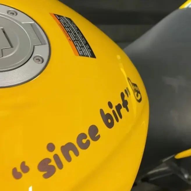 since birf sketch sticker decal since birf sketch sticker decal