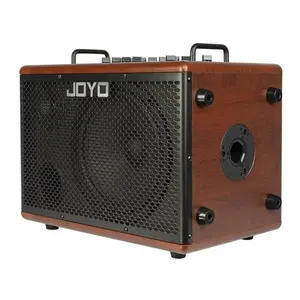 JOYO BSK-80 Acoustic Guitar Amplifier *USA Small Business*