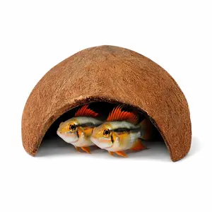 Coconut Fish Cave 5-Inch | Aquarium & Terrarium Hideout | Betta, Shrimp, Nano Fish Shelter