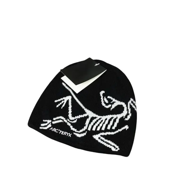 Arc'teryx Bird Head Toque - Frozen Peak - classic unisex winter beanie, breathable, comfortable blend of wool and recycled polyester, skiing, snowboarding, climbing & Outdoor Wear