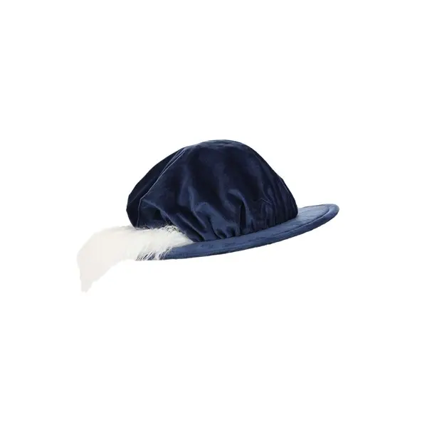 Disney Prince Charming Feather Hat