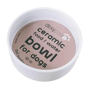Dexypaws Ceramic Dog Bowl