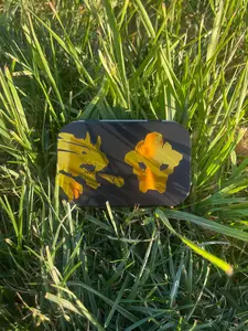 Earth Black Dragon Mini Fig Tin!