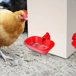 12-Pack Extra Large Automatic Water Bowl for Poultry, Duck, Goose, Chicken Watering Fountain with Drill Bit - Durable Plastic