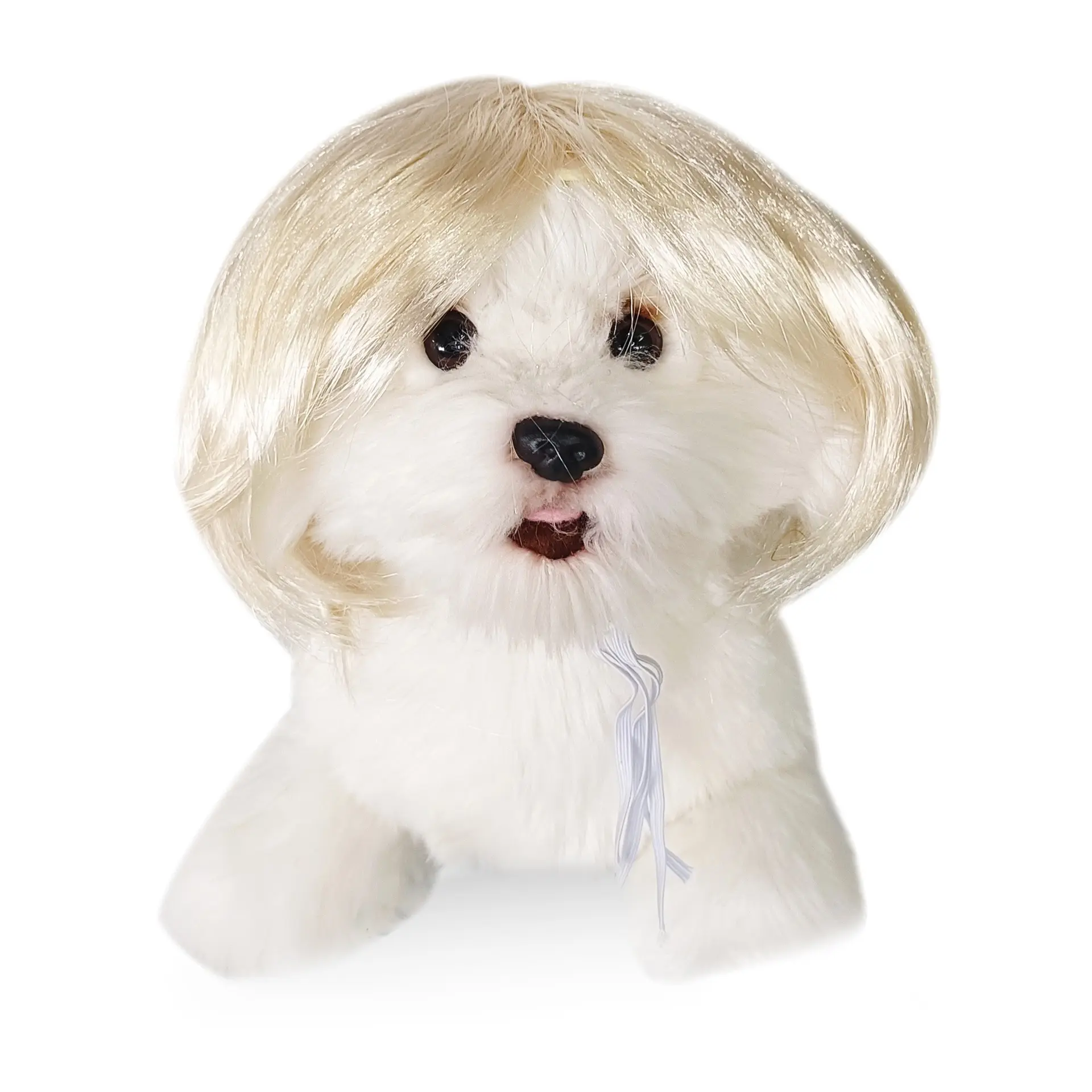 Pet Wig with Bangs, Bob Cut, Light Blonde