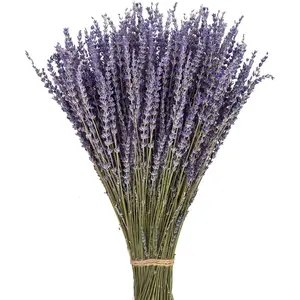 Dried Lavender Flowers 270-300 Stems 100% Natural Dried Lavender Bunches for Home Decoration, Home Fragrance, Handmade Soap Flower