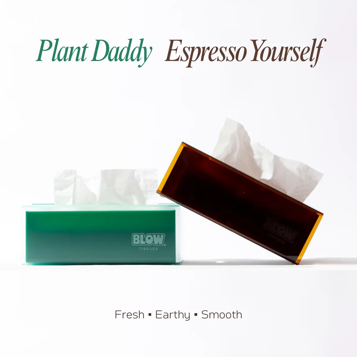 Espresso Yourself + Plant Daddy