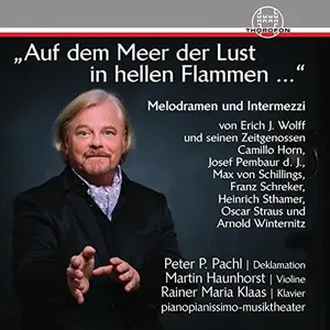 Horn / Klaas / Pembaur / Schreker / Sthamer - Auf dem Meer der Lust in hellen Flammen  [COMPACT DISC - CD]
