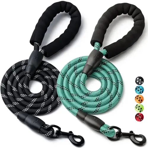 2PCS Black+Turquoise