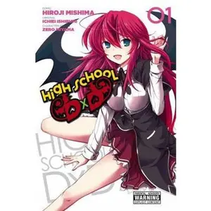 USED-High School DXD, Vol. 1 (Paperback)