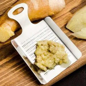 1pc Ginger Grater, Stainless Steel Masher, Ginger Grinder, Food Grater, Mini Grater For Garlic Fruit Root Vegetables
