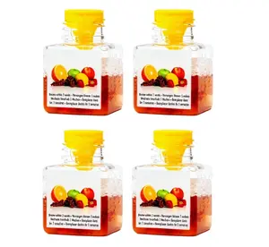 4 Pack Fruit Fly Traps for Indoors, Highly Effective Fruit Fly Catcher for Indoor Use for Home & Kitchen, Up to 3 Weeks of Performance per Bottle, Kid & Pet Friendly